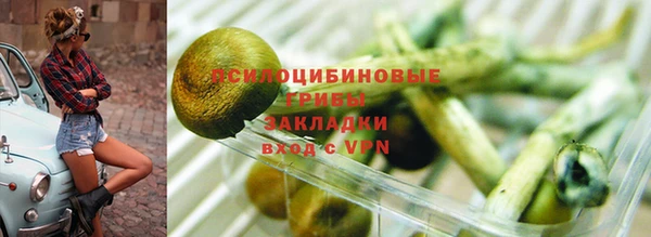 спиды Богданович