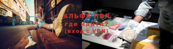 ECSTASY Богородицк