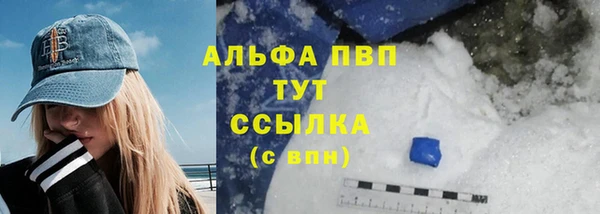 ECSTASY Богородицк