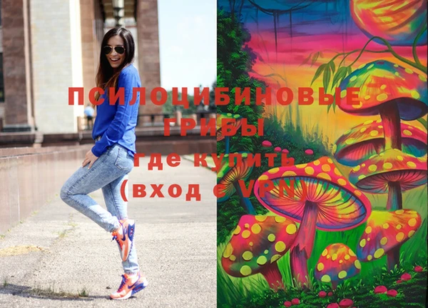 спиды Богданович