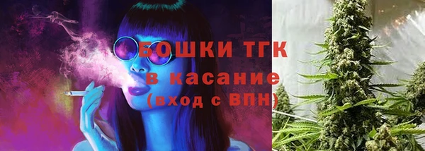 спиды Богданович