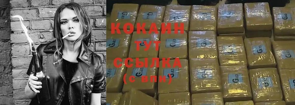 спиды Богданович