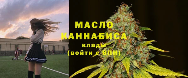 ECSTASY Богородицк